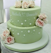 Torta Scenografica Compleanno