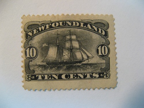 Terranova 1880 grand banks - terranova, 1880-96