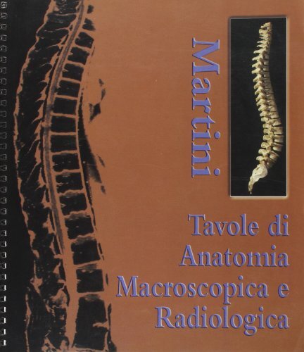 Tavole anatomia - tavole,