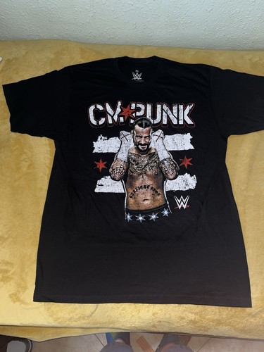 Wwe punk best the - in,