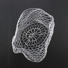  Rete da Pesca in Gomma