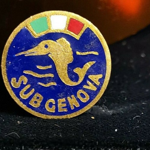 Pin spilla distintivo - ,