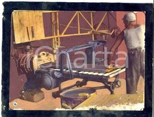 1955 ca STRADELLA (?) Operaio