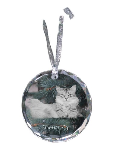 Gatto siberiano pendente - gatto,
