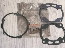 Guarnizione Kawasaki 110091966