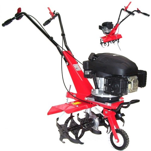 Motozappa 600 zappatrice - zappatrice, a