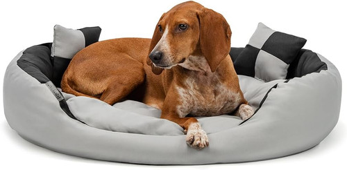 Lettino per cane - lettino, (m)