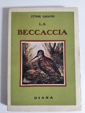 Ettore Garavini - La beccaccia