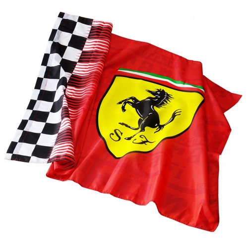 Licenza grande bandiera - licenza,