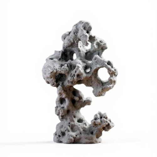 Roccia taihu finta nuvola - taihu,