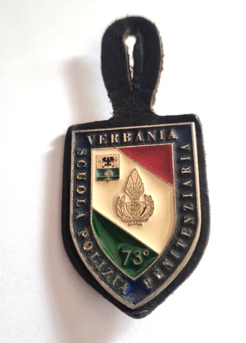 Distintivo spilla pins - distintivo, scuola