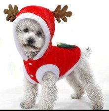 Natale Animale Domestico