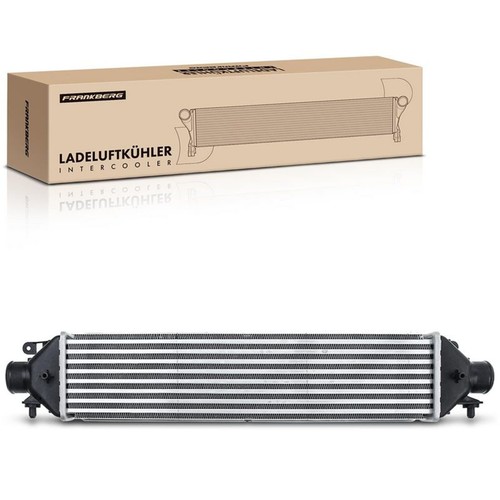 Frankberg intercooler adatto - frankberg,