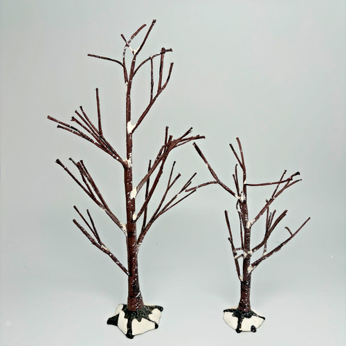 Dept coppia alberi a - 56,