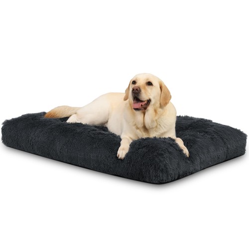 Cuscino per cani taglia - cuscino,