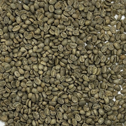 Caffè grani verde - verde, pino