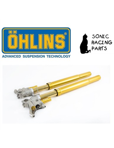 Fgr 300 ohlins - 300, oro