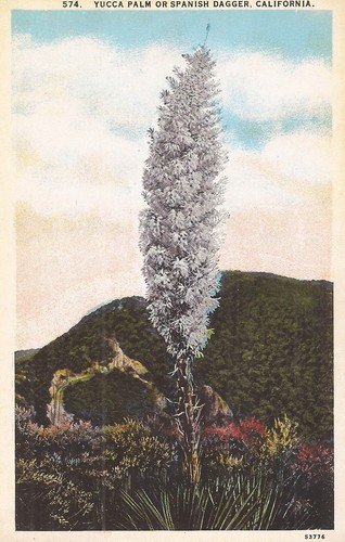 Yucca valley california - valley,,