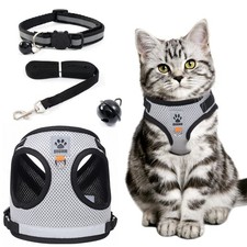 Pettorina Gatto Antifuga con