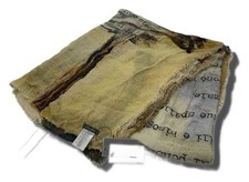 Sciarpa Faliero Sarti