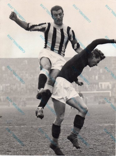 Foto juventus parola - juventus, 18x24