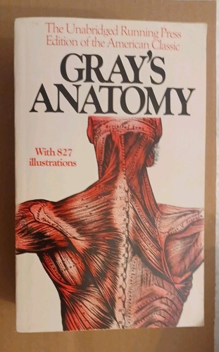 Running press gray anatomy - running, gray's