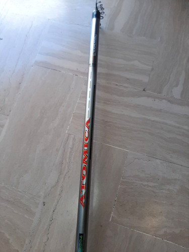 Canna bolognese 6 - canna,