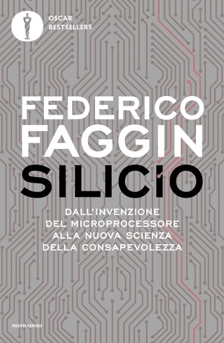 Silicio dall invenzione del - silicio.,