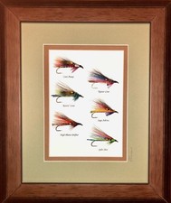 6 Streamer per trote