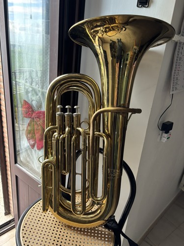 Strumento musicale fiato - strumento, a