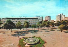 dv642 cartolina bibione