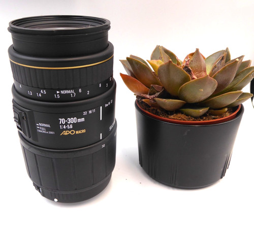Sigma 300 5 6 - 70-300, f4-5.6