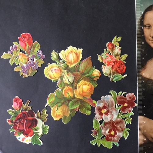 Cromos rose pensieri fiori - 5,
