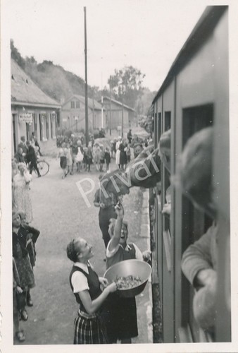 Foto ww2 militaria wehrmacht - ww2,
