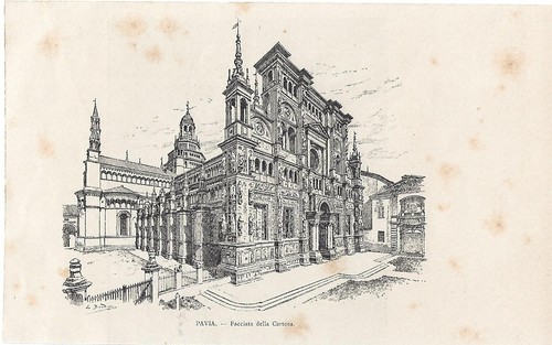 Stampa antica pavia - stampa, veduta