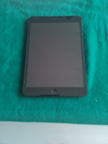 Ipad mini cellular 32gb - ipad,