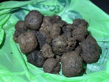 tartufo nero fresco