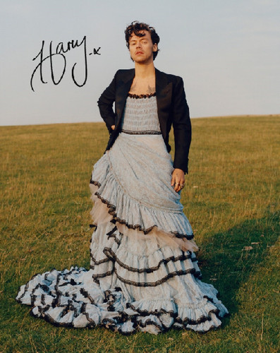 Abito moda poster - harry, styles