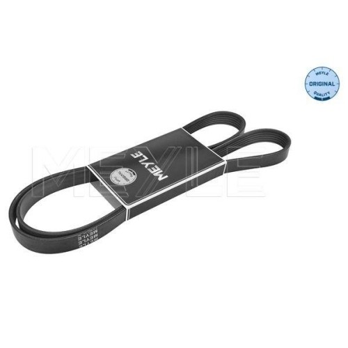 Cinghia poly meyle - v,