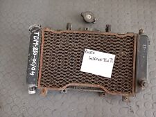 RADIATORE YAMAHA TDM 850 2000 2004