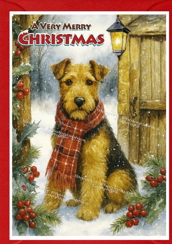 Biglietto natale welsh - biglietto, di