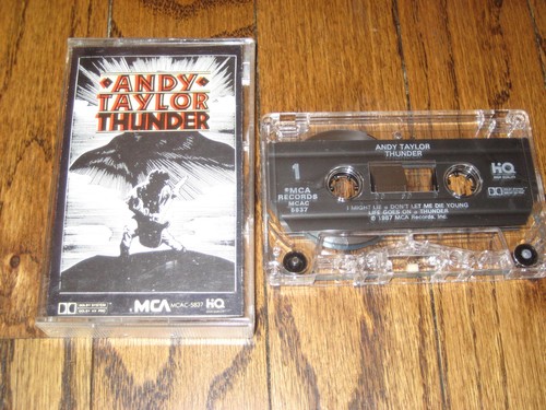 Andy taylor thunder - taylor,