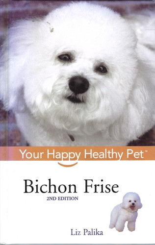 Bichon frise your happy - :,