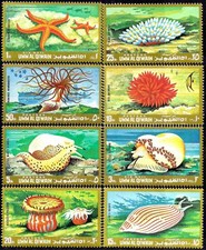 Umm Al Qiwain 1972 conchiglie di corallo stelle marine anemone stelle marine Sealife 8v MNH