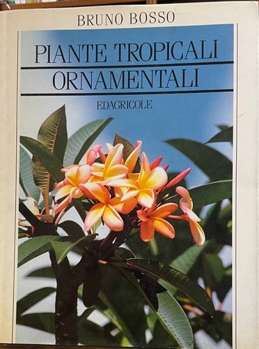 Piante tropicali ornamentali - piante, ornamentali.,