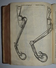 CAVALLI – fig. 1723 – De