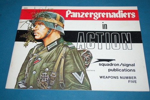 Panzergrenadiers action - in,