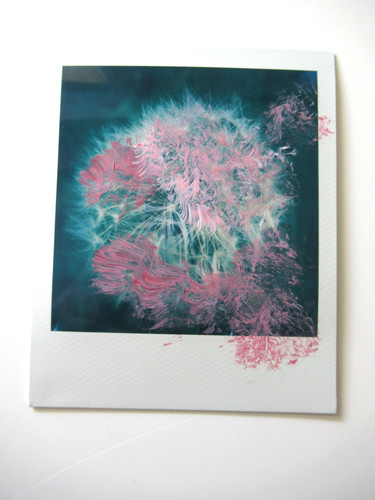 Araki polaroid originale - n., araki: