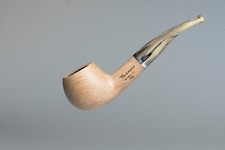 Thalamona pipe the - , one