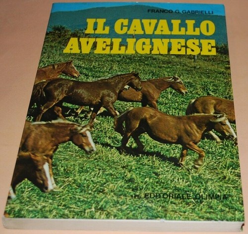 Gabrielli il cavallo - -,